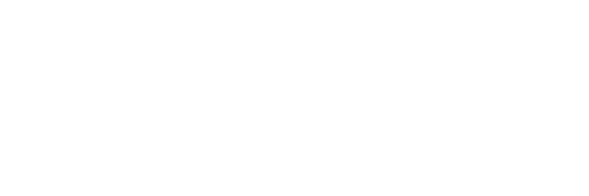 Axopar Logo